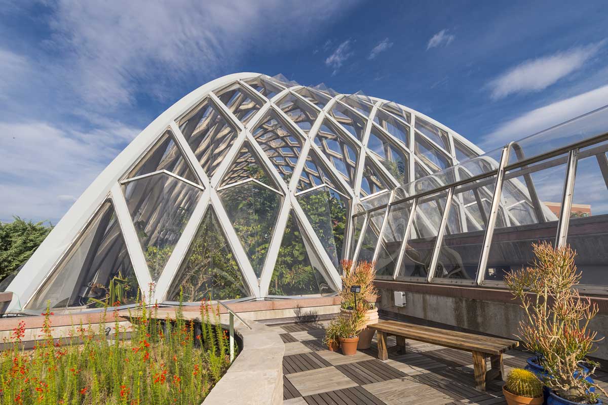 architectural-greenhouse