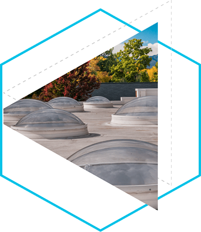 Dedication to Quality